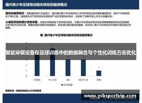 智能穿戴设备在足球训练中的数据融合与个性化训练方案优化